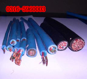 遼陽阻燃計(jì)算機(jī)電纜銷售，遼陽鎧裝計(jì)算機(jī)電纜廠家，遼陽計(jì)算機(jī)屏蔽電纜
