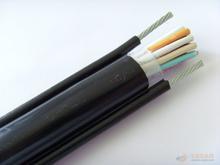 吳江銷售化工設(shè)備本安電纜，吳江供應(yīng)IAKVVR電纜生產(chǎn)，