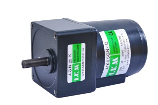 6W帶阻尼可逆電機(jī)，220V單相交流微型馬達(dá)