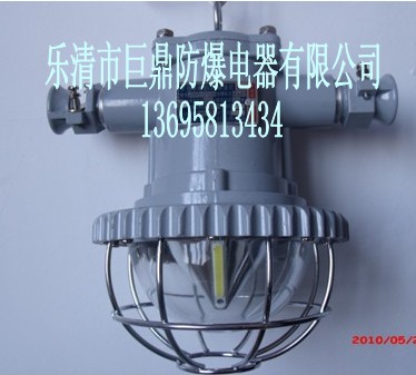 DGS12/127LVLED12W