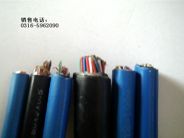 屏蔽鎧裝電纜 KVVP2-22 銷(xiāo)售