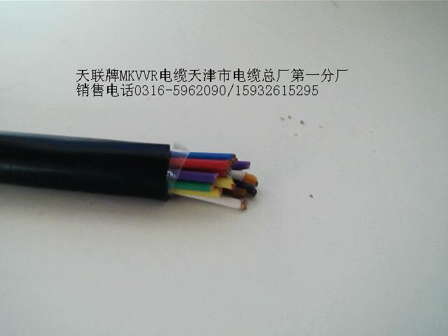 屏蔽控制電纜KVVP