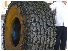 23.5-25݆̥o(h)P܇݆̥o(h)朣bdC(j)o(h)