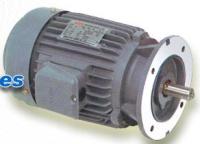 臺灣東元普通電機(jī)AEVF-0.4KW-4P-B5-380V