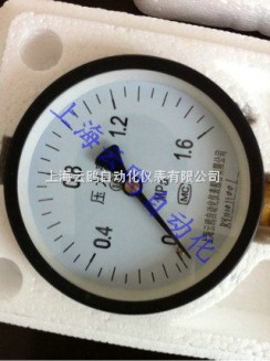 YE-100、150上海廠家YE-100、150系列膜盒壓力表