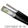 電纜供應(yīng)==銷售經(jīng)理：金志遠MKVV22（A1級礦用控制電纜歡迎選