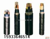 YJV、YJY、YJV22交聯(lián)聚乙烯絕緣聚氯乙烯/聚乙烯護(hù)套鋼帶鎧
