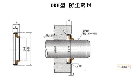 防塵DKH、dki軸往復(fù)運(yùn)動(dòng)密封圈-天津伊威井瑞專賣原裝進(jìn)口密封圈