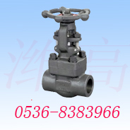 供應(yīng)Z61H/Y、Z11H/Y型鍛鋼內(nèi)螺紋、承插焊閘閥