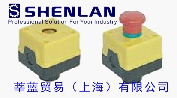 莘藍(lán)貿(mào)易（上海）有限公司特價供應(yīng)意大利PIZZATO傳感器、位置開