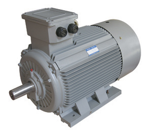 德國(guó)WUERGES電機(jī)震動(dòng)電機(jī)振動(dòng)電機(jī)