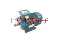 英國Brook Crompton起重變頻調(diào)速制動電機(jī)