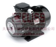ِ˹NICOLINI MOTORI늙C(j)