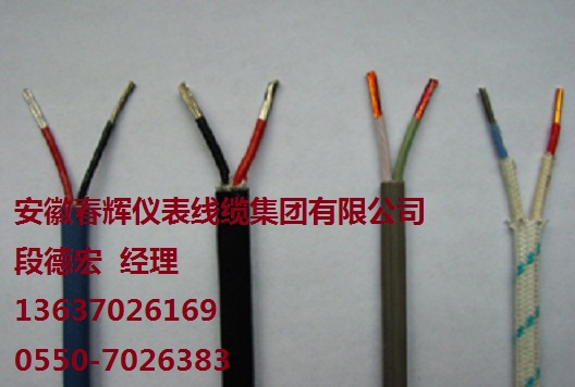 電廠用 熱電偶補償導(dǎo)線 ZR-SC-HF4-2*2.5