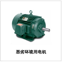 RELIANCE B434735 186KW惡劣環(huán)境用電機(jī)  正品