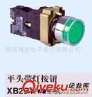 山東濟南施耐德平頭帶燈按鈕ZB2BWB*1C+ZB2BW3*C