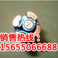 硅橡膠變頻電纜中旺特電纜多少錢(qián)