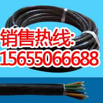 ZR-BPYJVP12R變頻電纜變頻器專用回路電纜中旺特電纜