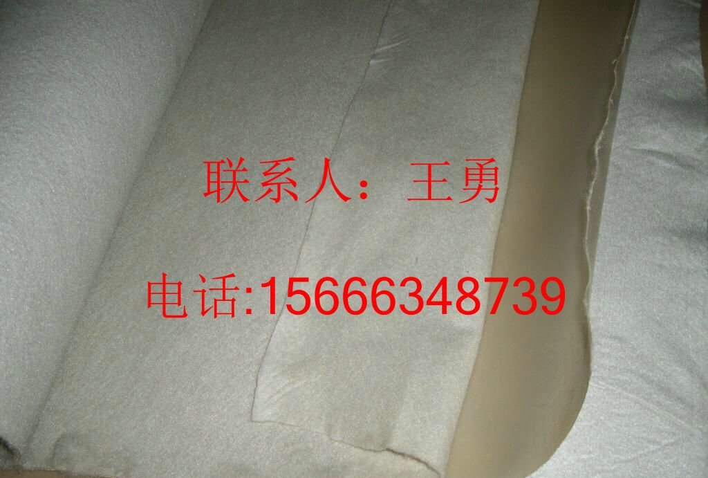 莒南縣直營工廠--填埋場單糙面防水板