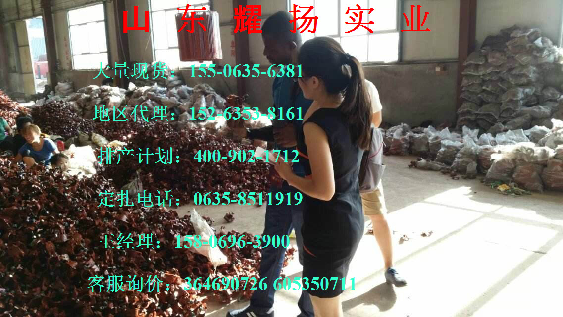 德陽(yáng)10.9級(jí)螺栓|10.9級(jí)高強(qiáng)度螺栓《多少錢(qián)一臺(tái)