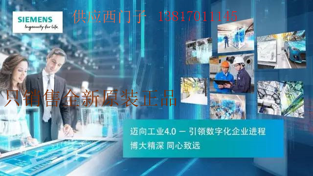 西門子180度DP接頭