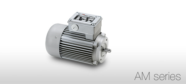漢達(dá)森專業(yè)經(jīng)銷意大利Mini Motor原廠直供電機(jī)