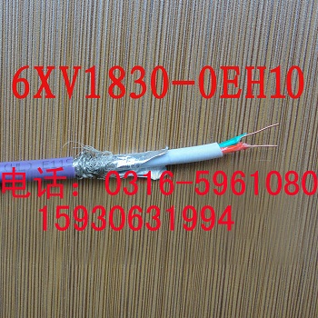 F(xin)؛(yng)T6XV1830-0EH10|PROFIBUS-