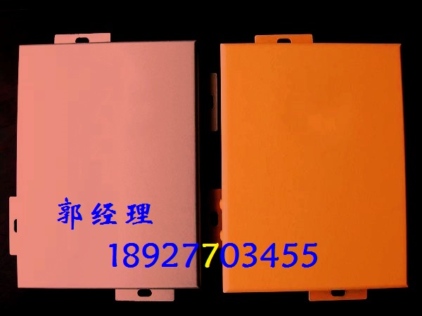 專業(yè)定制生產幕墻鋁單板,特殊造型鋁單板產品