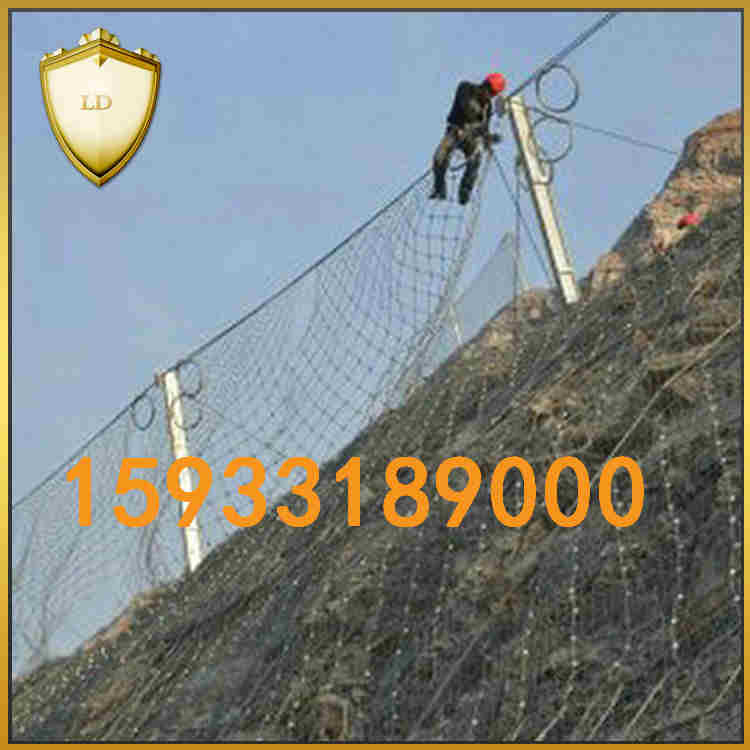 F(xin)؛(yng)RX-025ӷo(h)W(wng) ɽwo(h)W(wng)