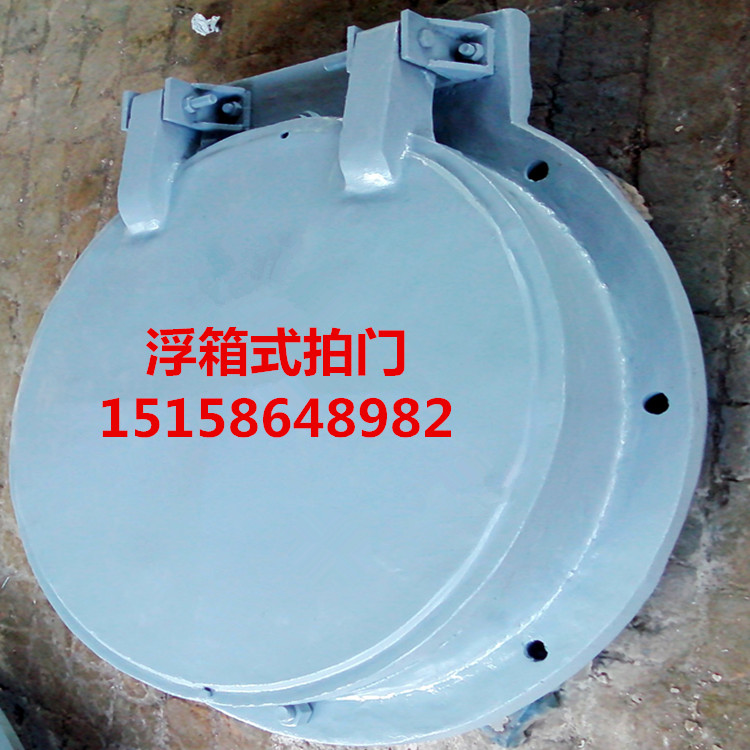 不銹鋼浮箱式拍門(mén)