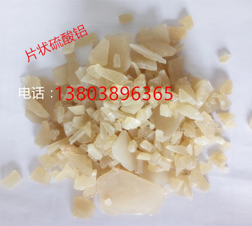 云南德宏瑞麗可調(diào)節(jié)長柄濾頭ABS整體澆筑濾板模板價格