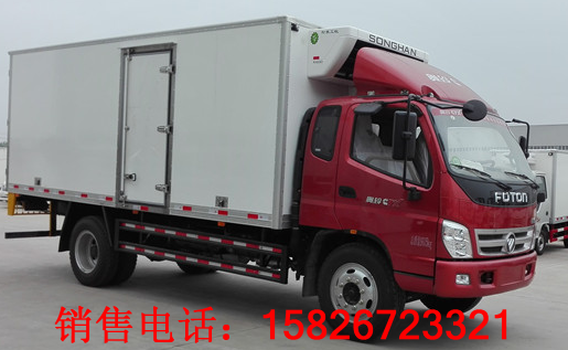 濮陽東風(fēng)8立方壓縮垃圾車廠家圖片