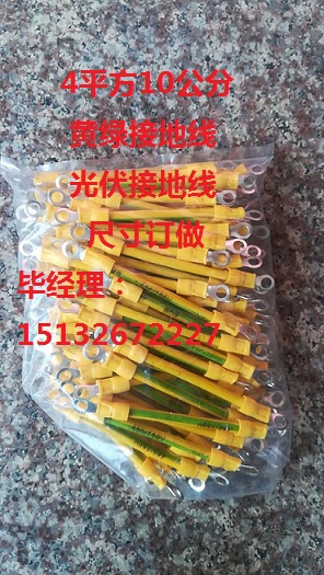 (gu)(bio)BVRɹӵؾ4