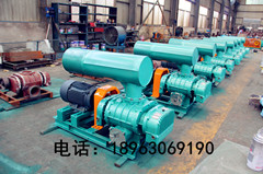 咸陽(yáng)三葉羅茨鼓風(fēng)機(jī)SR-80型號(hào)參數(shù)流量工作原理