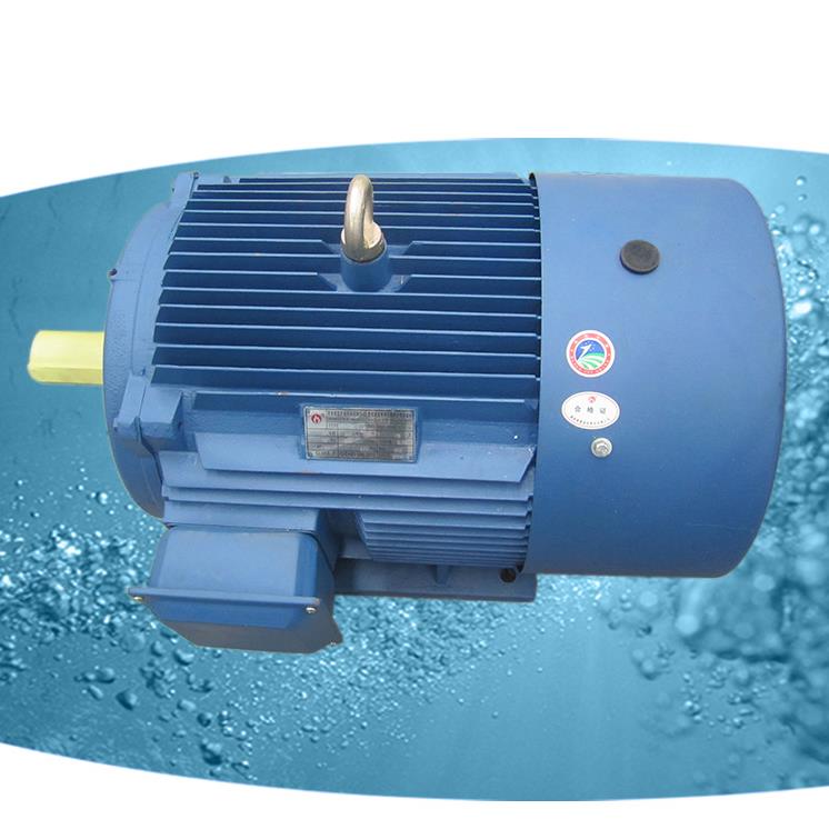 三相異步電機(jī)型號(hào)-長(zhǎng)沙三相異步電機(jī)價(jià)格-電機(jī)型號(hào)