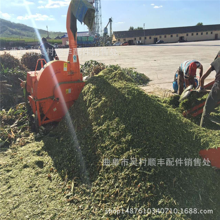 熱銷農(nóng)用青貯飼料粉碎設(shè)備 干濕兩用鍘草機 牛馬羊玉米秸稈揉絲機