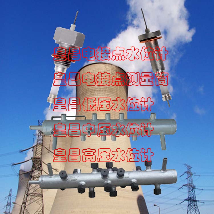 水位計(jì)探針φ18×φ12×97mm寧德