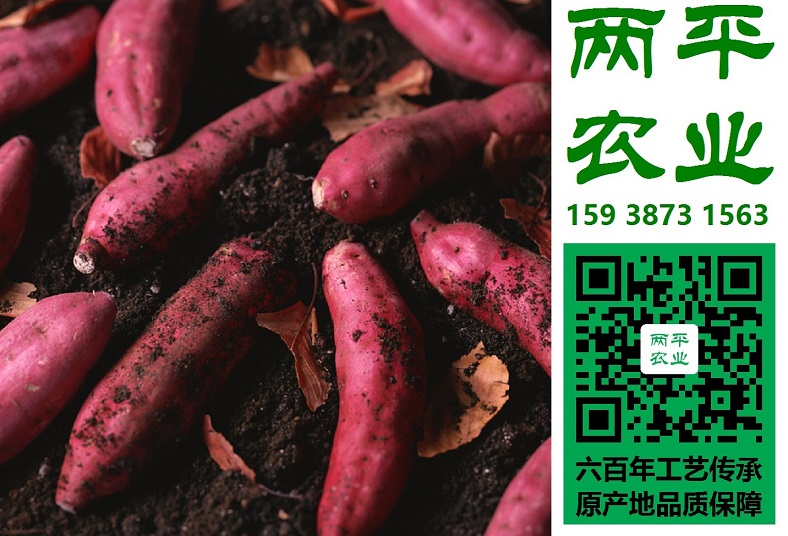 沂源縣紅薯粉條技術(shù)規(guī)范|沂源縣正宗紅薯粉條排行榜|沂源縣粉條廠家批發(fā)【兩平農(nóng)業(yè)】