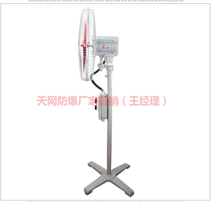 防爆搖頭扇BTS FB-500 600 750 防爆電風(fēng)扇落地扇