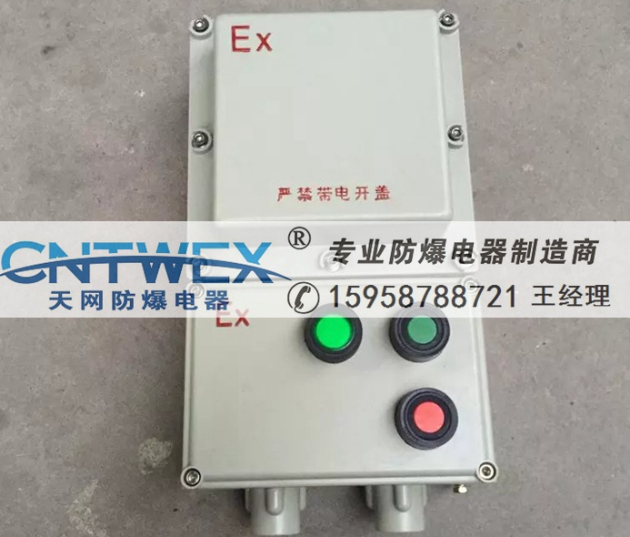 BQD53防爆磁力啟動器 BQD53-60A 防爆電磁起動器