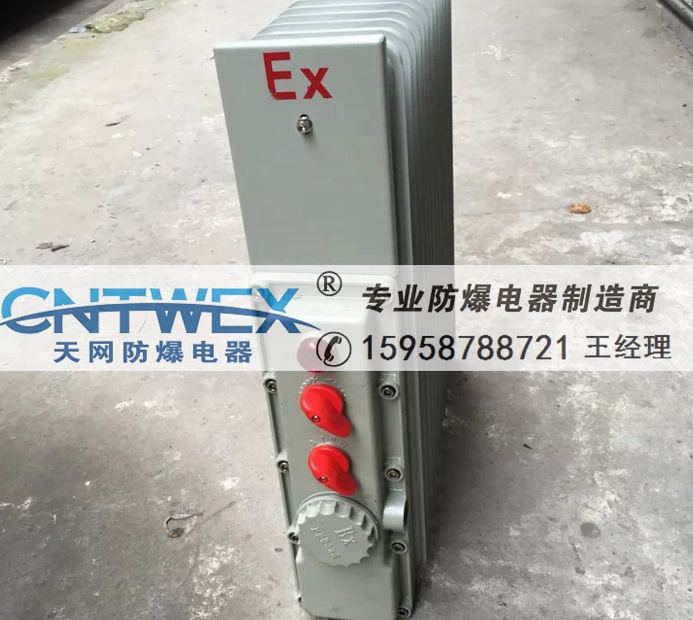 BXY/BDN58-1500W2000wܷʽ늟͡ȡů