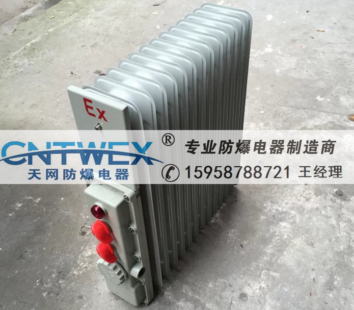 BDRI(y)늟͡ȡů2000W 2KW 2500W 3KW