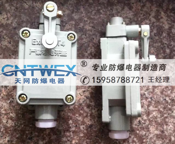 Γuʽг_P(gun)LX5-6D BZX51-6Dλ_P(gun)IIC