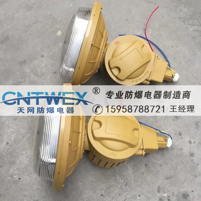 無極燈SBD1107-YQL40/50免維護防爆節(jié)能吸頂電磁感應(yīng)燈