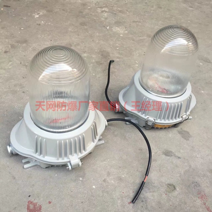 NFC9183/NY LEDѣ LEDѣ(yng)
