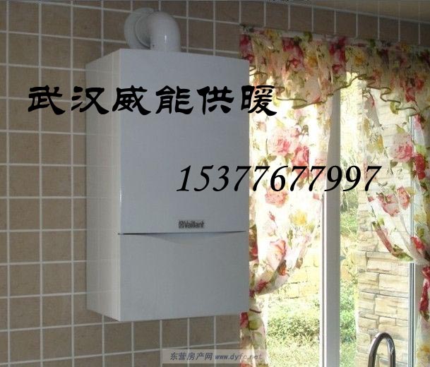 武漢博世新歐洲之星燃?xì)獗趻鞝t銷售、批發(fā)。