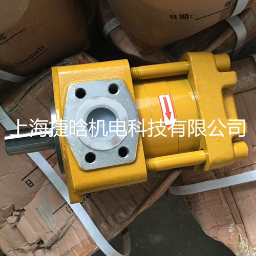 NBT5-G63F直齒共軛內(nèi)嚙泵