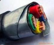 (gu)(bio)MKYJVP2-22V~zb|