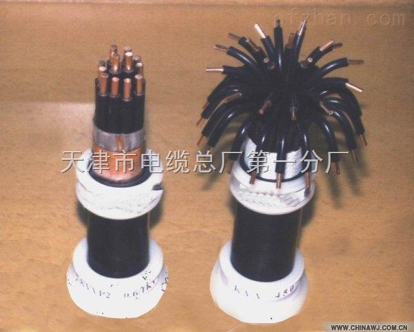阻燃控制電纜ZR-KVV、ZR-KVV22、ZR-KVVR