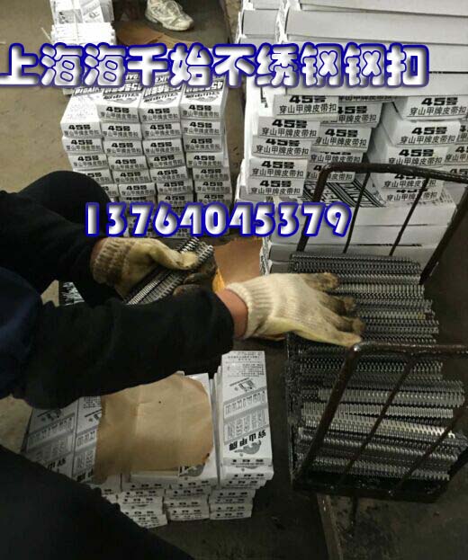 不銹鋼狼牙鋼扣，碳鋼狼牙鋼扣，針式不銹鋼扣